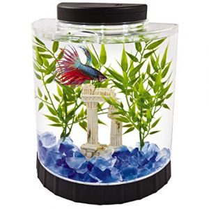 aquariumfishbowls