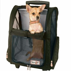 dogcarriers