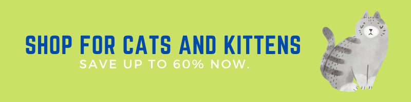 Shop for Cats and Kittens_banner
