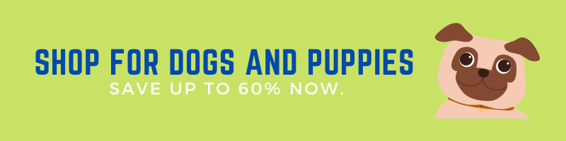Shop for dogs and puppies_banner